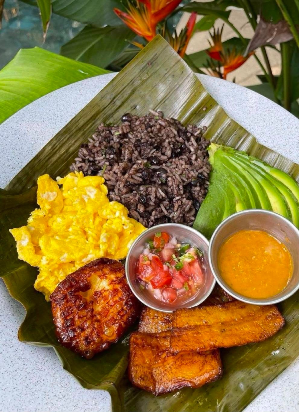 ¿Antojo de Costa Rica? Habrá brunch gratuito con comida y cultura en CDMX.