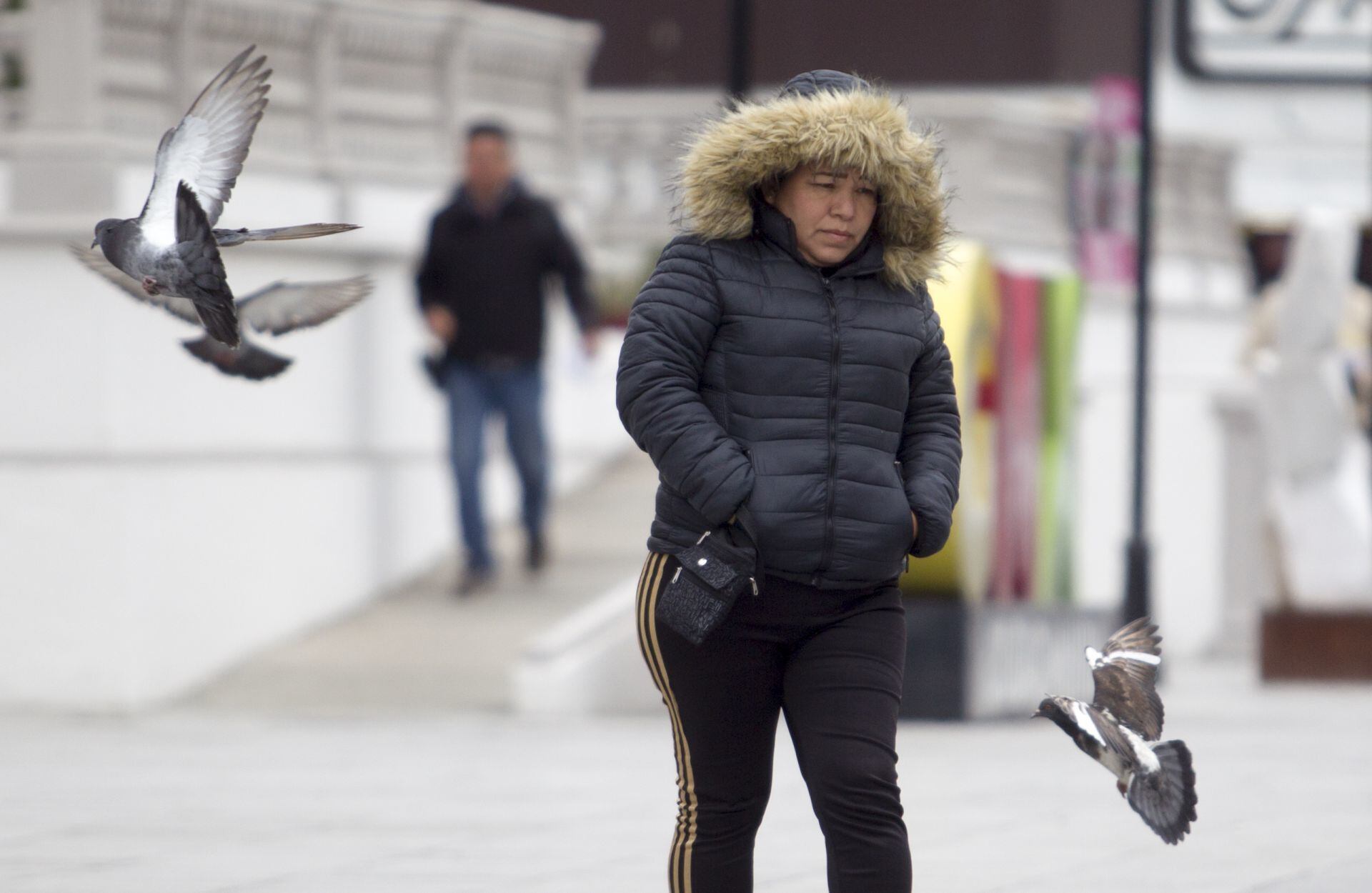La CDMX activa la alerta naranja y alerta amarilla por el clima frío en 7 alcaldías