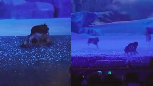 Lobos en obra de teatro en China