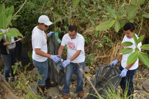 Industria Mexicana de Coca-Cola