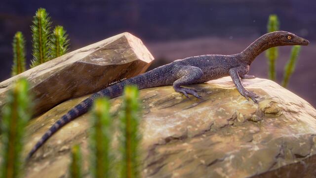 Elessaurus gondwanoccidens