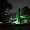 Monterrey ilumina de verde el Palacio Municipal por el Día Mundial de la Parálisis Cerebral