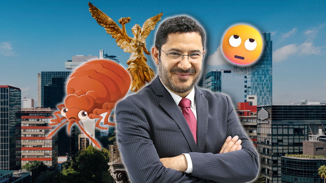 Martí Batres responde si hay una plaga de chinches en la CDMX