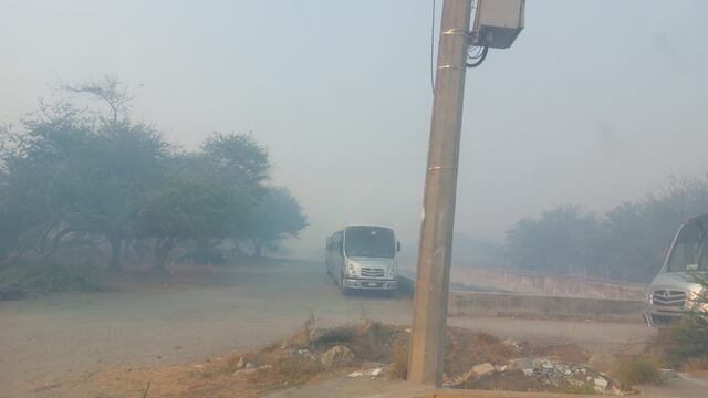 ¿Qué pasa en Manzanillo?