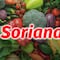 Martes y Miércoles del Campo Soriana 23 y 24 de enero 2024: Estas son las mejores ofertas