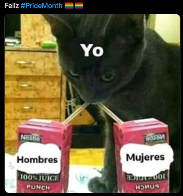 Meme Pride Month.