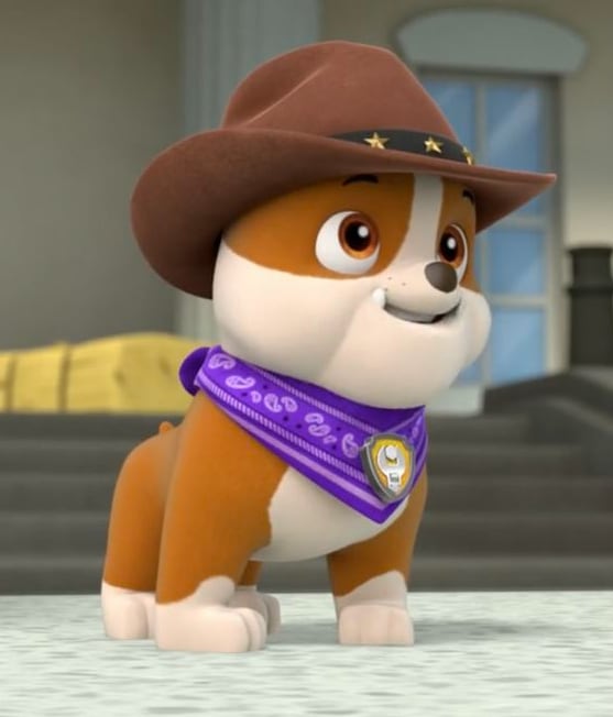 Imágenes que demuestran que raza es Rubble de Paw Patrol
