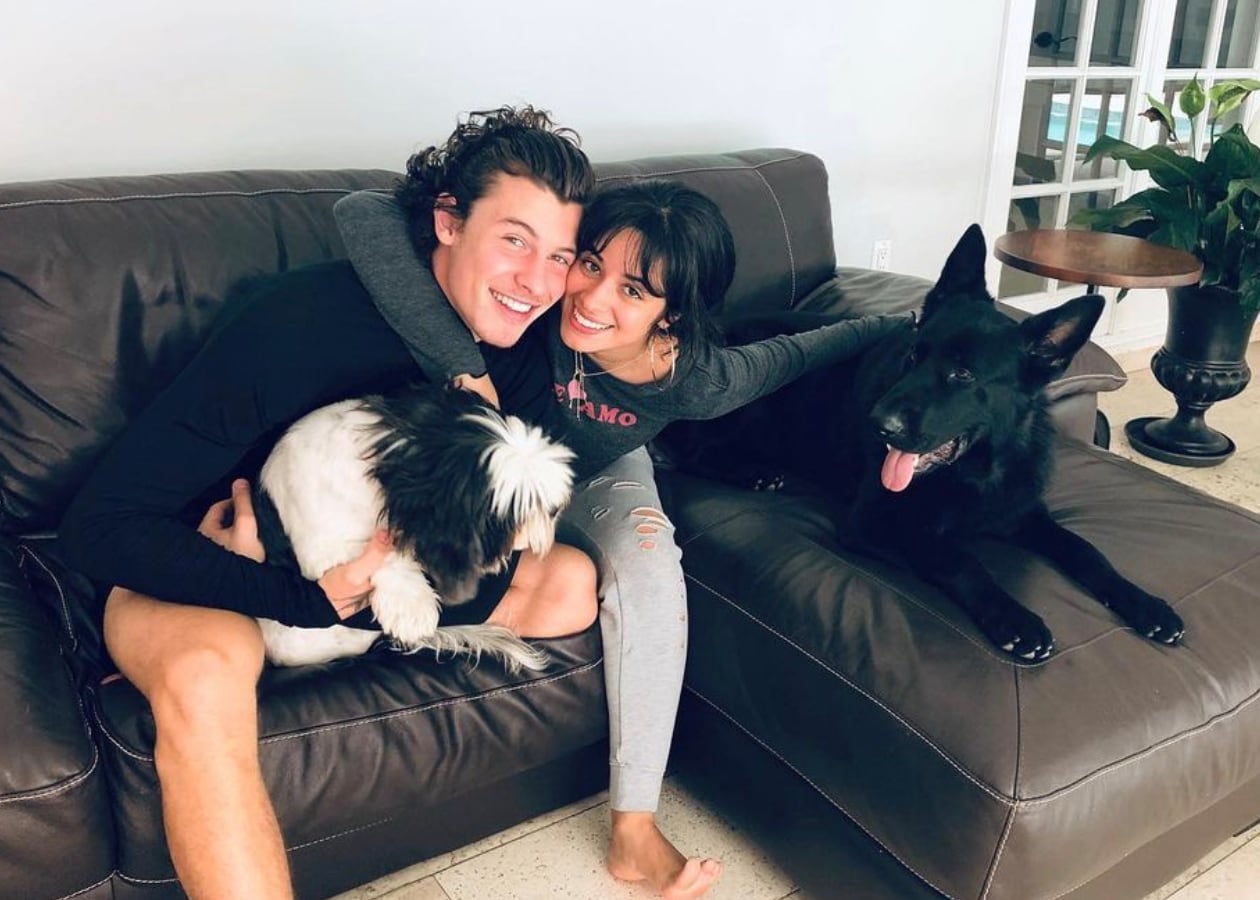 Shawn Mendes y Camila Cabello