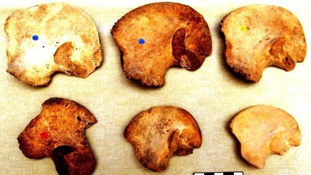 Se hace escalofriante revelación sobre sacrificios de niños en Chichén Itzá