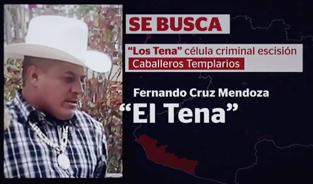 Fernando Cruz Mendoza, "El Tena"