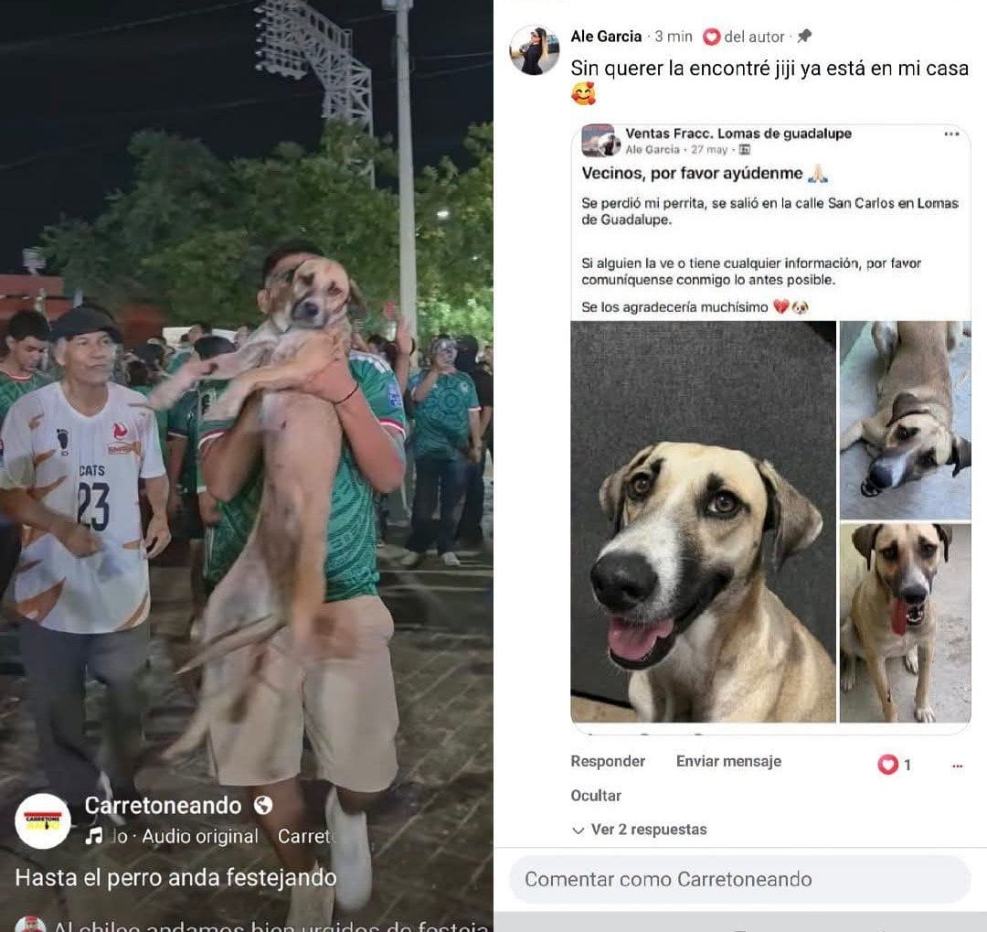Los videos del triunfo de México ayudaron a encontrar a una perrita desaparecida