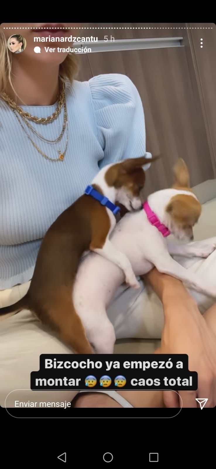 Historia de Instagram