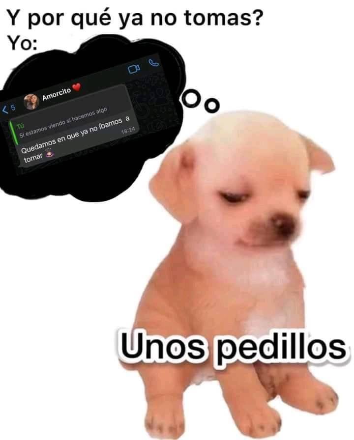 ’Kesi Kesi’ se llama el perrito del meme “unos pedillos”