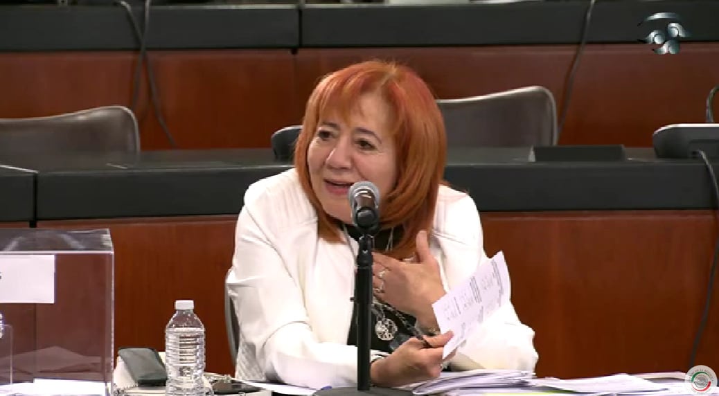 Rosario Piedra, presidenta de la CNDH