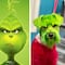 VIDEO: Tiñe de verde a su perro por ‘Grinch’ y en TikTok la acusan de abuso animal