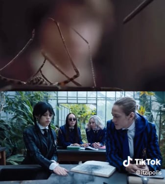 Demostraciones en Merlina y Harry Potter