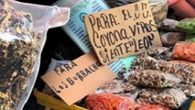 Comerciantes afirman que diente de león es la cura.