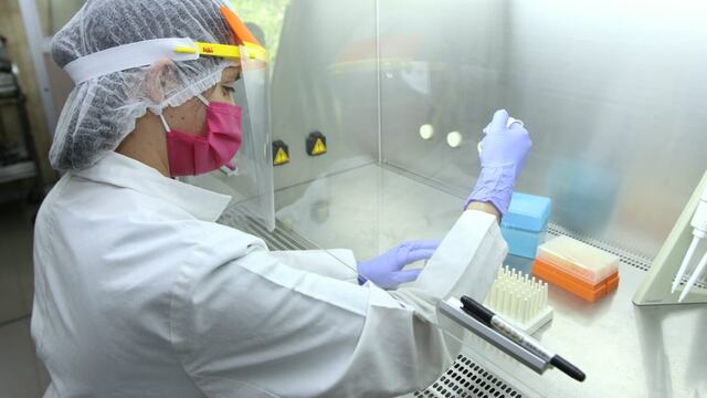 Investigación