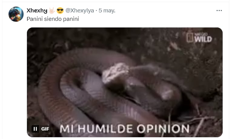 Memes sobre Karla Panini