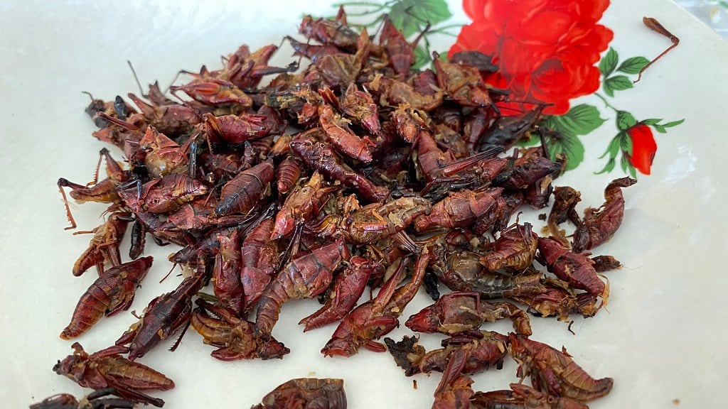 Chapulines, insectos que se comen en México