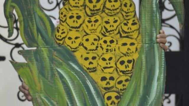 Es necesario estudiar efectos de transgénicos en la salud: Consejo Nacional Agropecuario