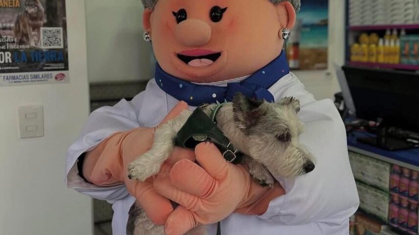 ¿Quién es la Doctora Lares? El nuevo personaje del Dr. Simi que promueve SimiPet Care