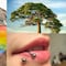 ¿Qué se celebra el 28 de junio? Hoy es Día del Orgullo LGBT, Día Mundial del Árbol y Día Internacional del Piercing Corporal