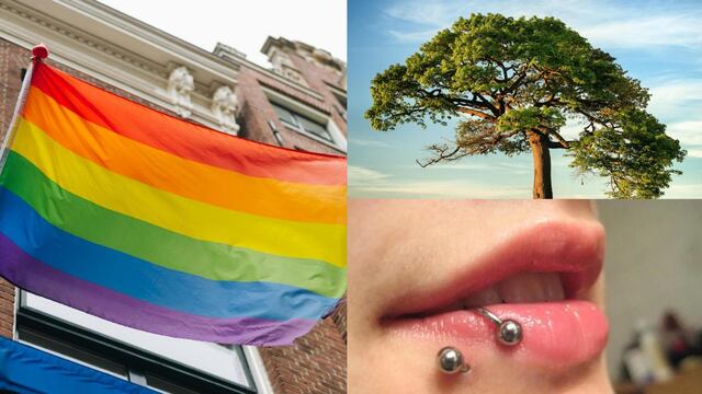 Hoy 28 de junio se celebra el Día del Orgullo LGBT, el Día Mundial del Árbol y el Día Internacional del Piercing Corporal