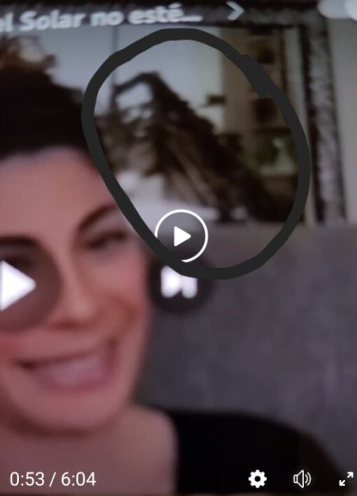 Fernando del Solar se habría manifestado en una planta