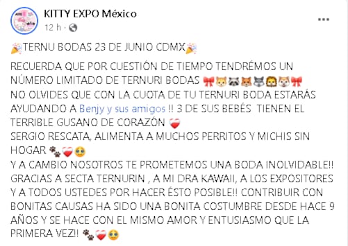 Información de la boda con estilo ternurín.