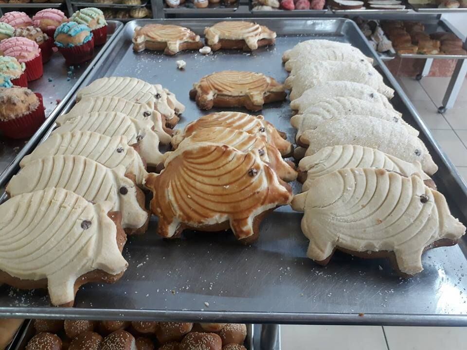 tipos de concha de pan de dulce