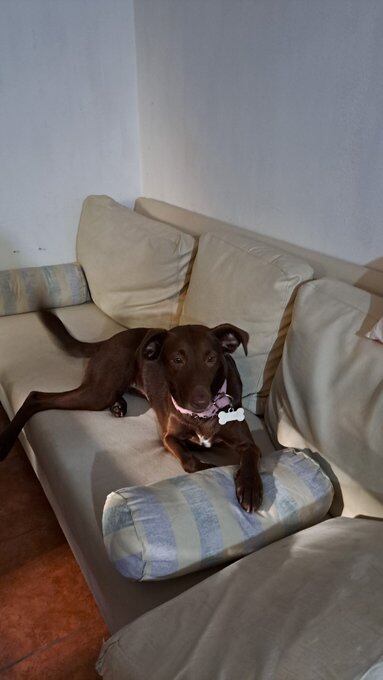 La historia de Juana