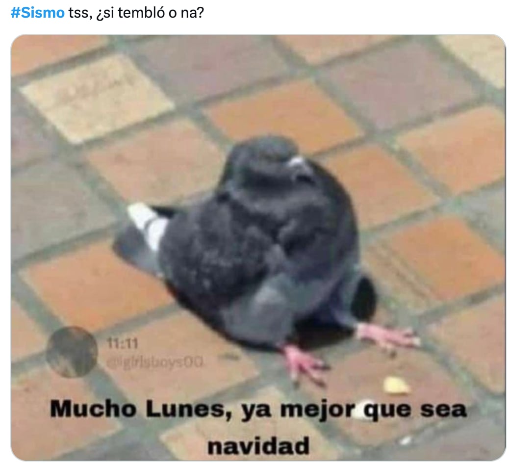 Memes se desatan tras la alerta sísmica activada por error