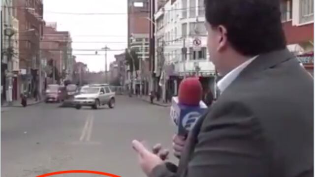 Perros teniendo sexo interrumpen transmisión en vivo.