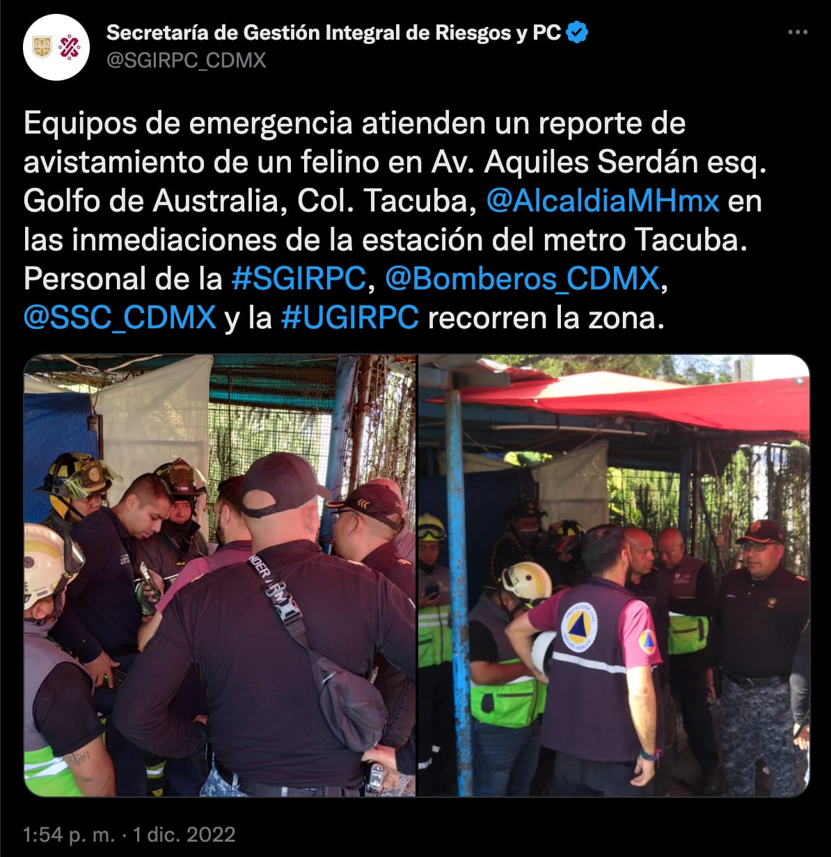 Una pantera anda suelta afuera de la estación Tacuba del Metro CDMX, reportan