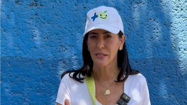 Lía Limón señala incompetencia y negligencia en la construcción del tren interurbano