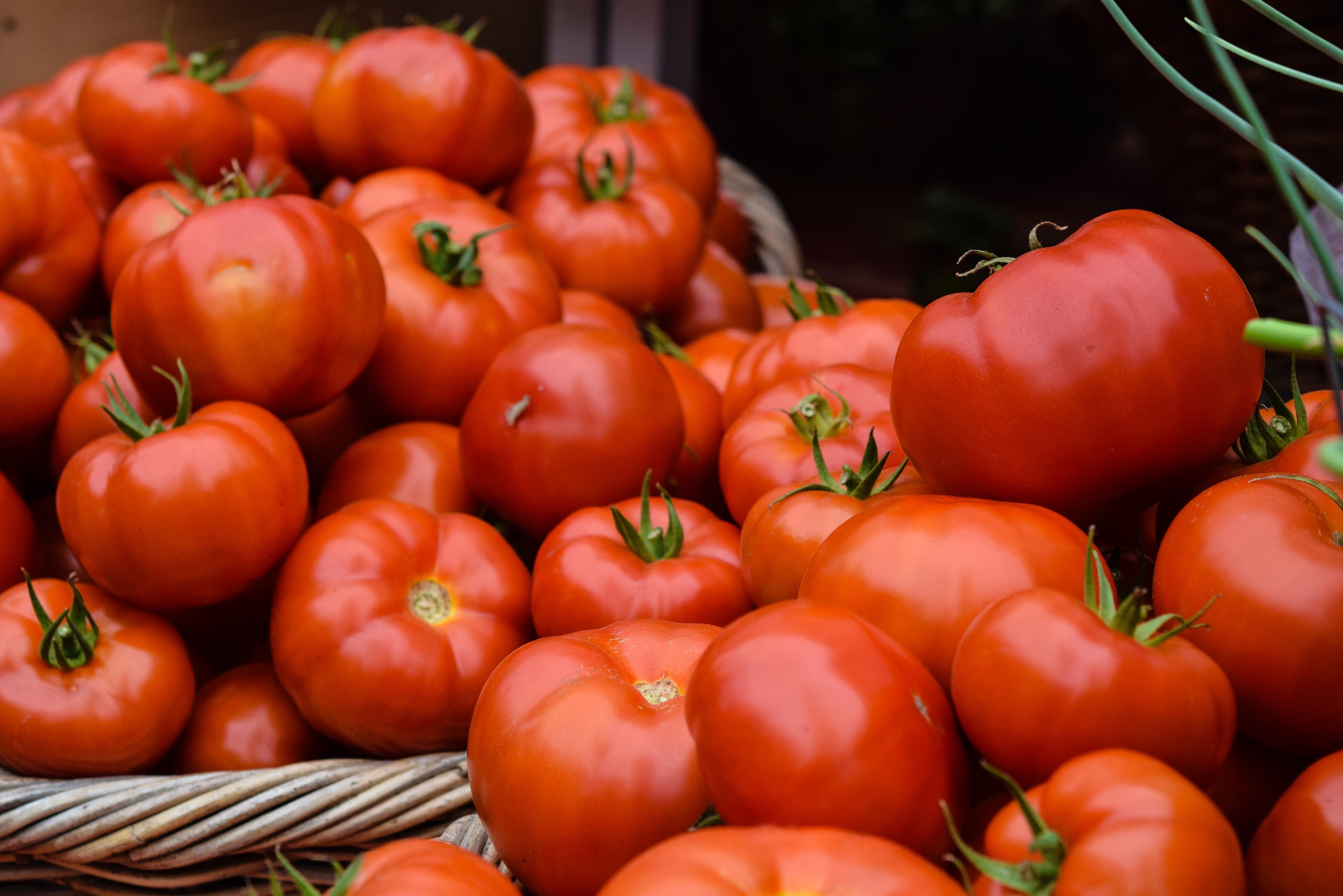 Tomate o jitomate
