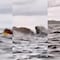 VIDEO: Una ballena se lo tragó y sobrevivió para contarlo mientras navegaba en su kayak por Estrecho de Magallanes