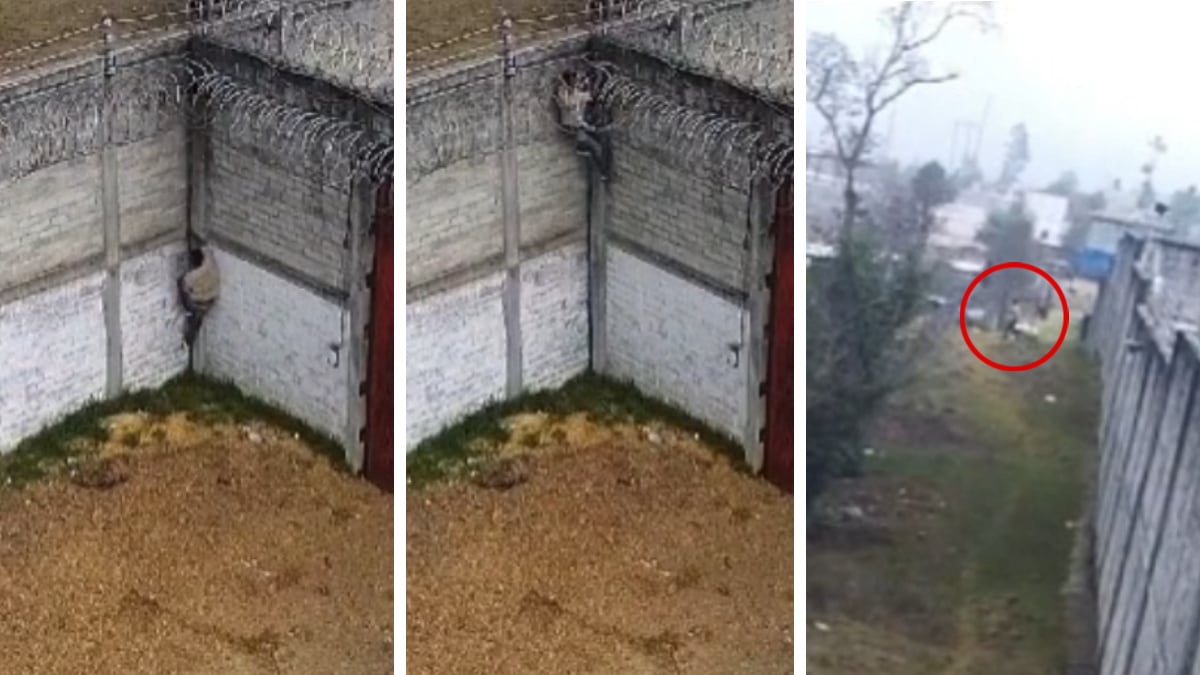 El Chapito de Tenejapa