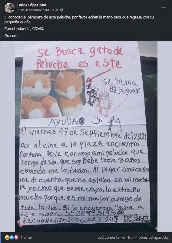 Niña ofrece recompensa por su muñeco de peluche