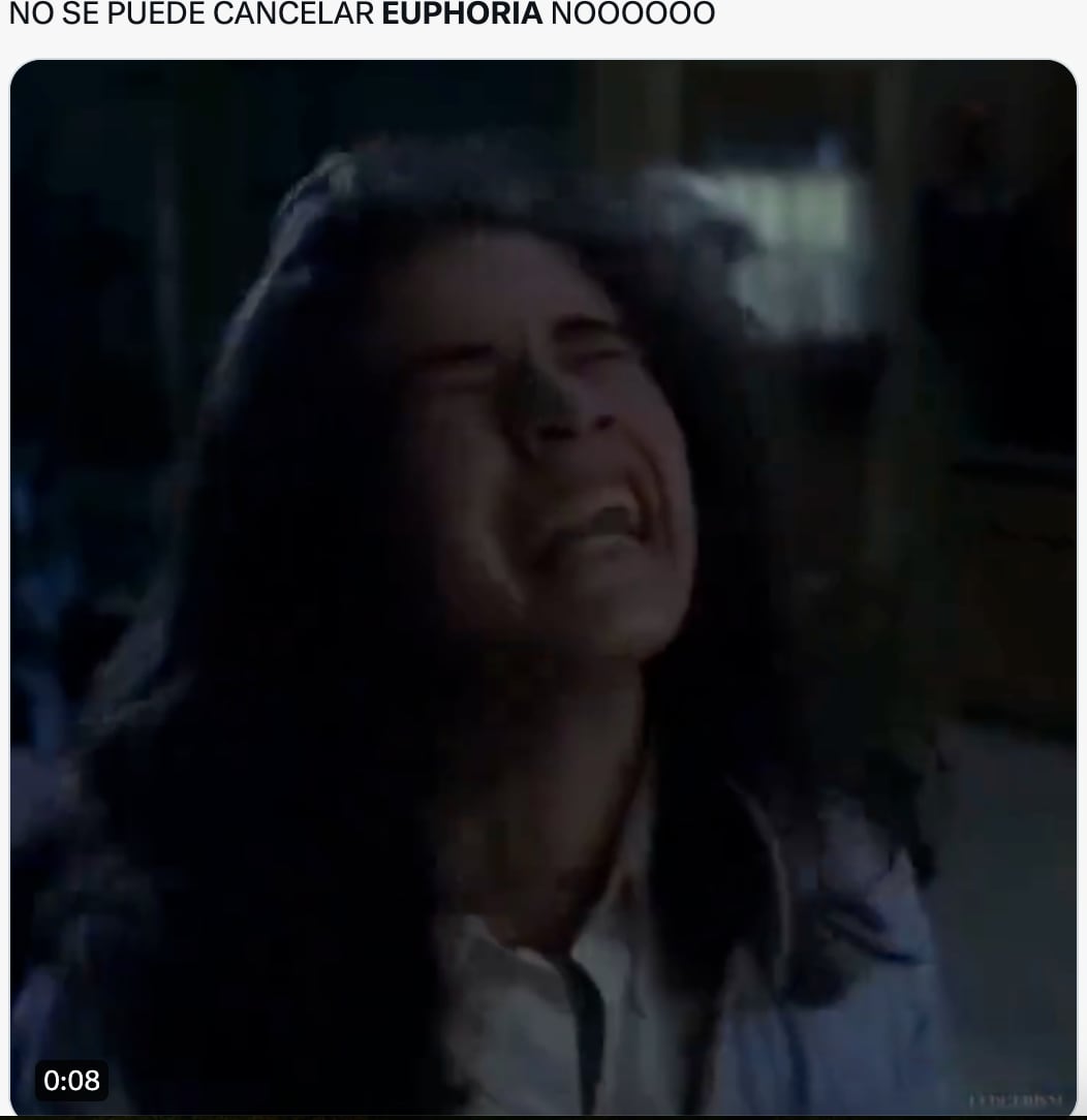 Rumores de la cancelación de Euphoria, provocan memes