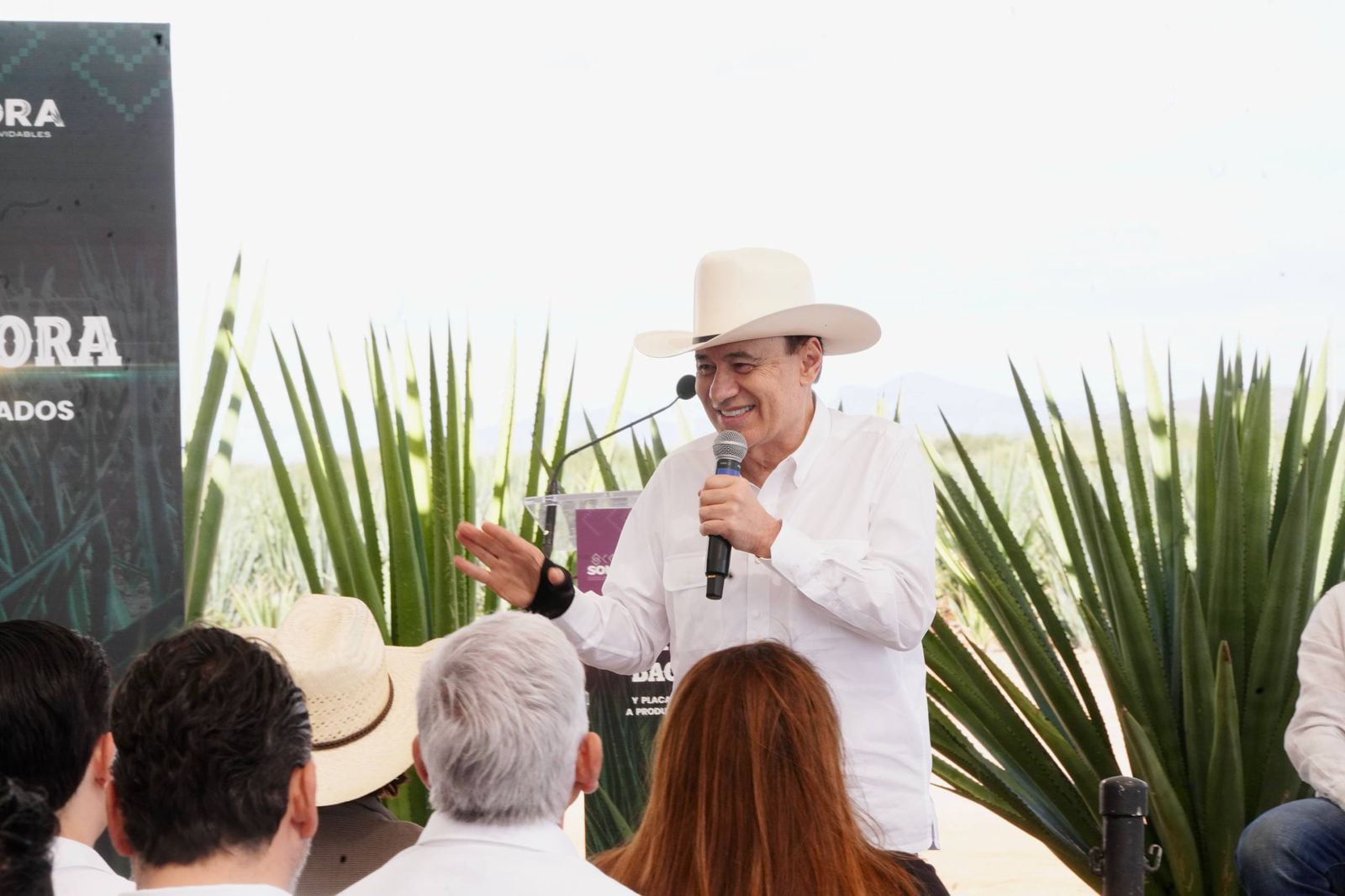 Sonora consolida al bacanora como producto premium con certificación oficial.