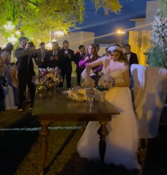 Perrito testigo con la novia