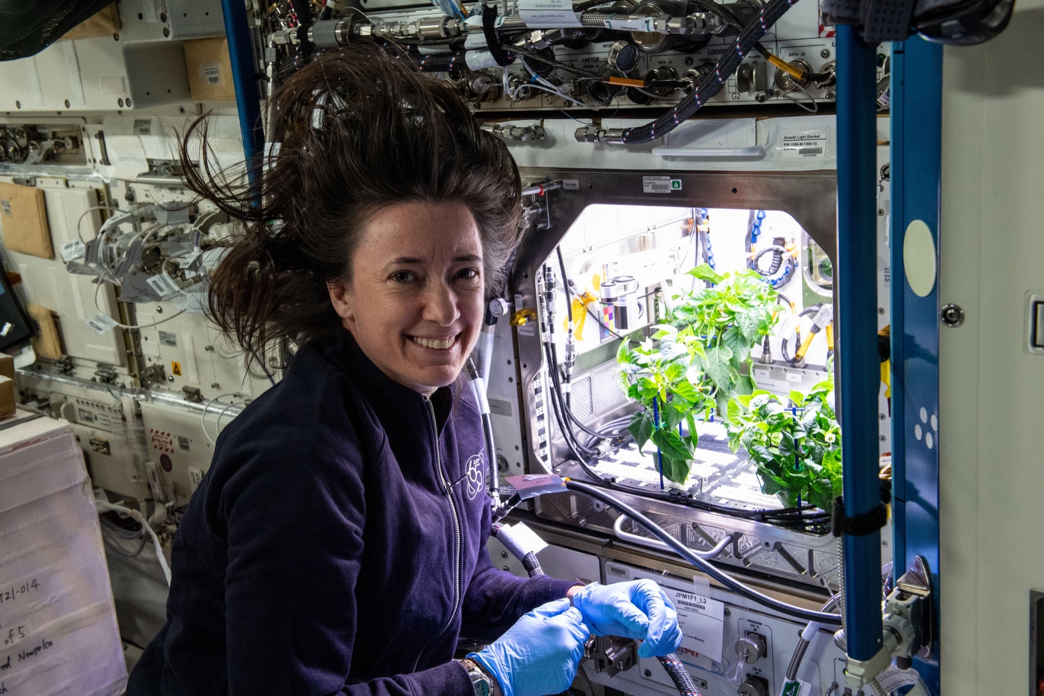 Megan McArthur, cultivo de chiles rojos y verdes