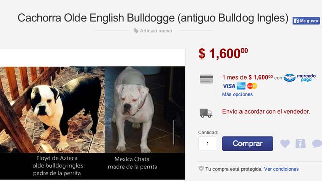 Profepa y Mercado Libre prevén controlar venta de animales por Internet
