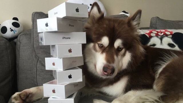 'Coco' acompañada de sus ocho nuevos iPhone 7.