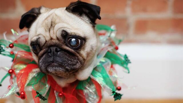 ¡No te sientas solo esta Navidad!