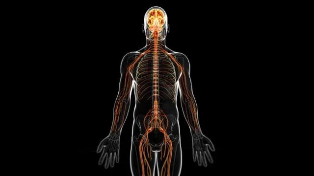 Síndrome Guillain-Barre está causando problemas en Perú