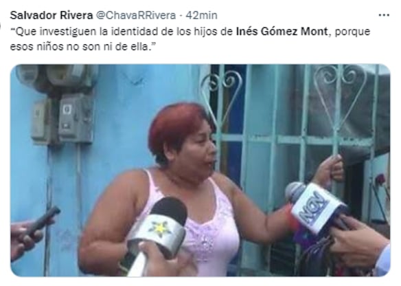 Memes Inés Gómez Mont