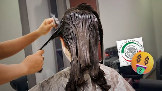 Gasto bajo la lupa: revelan el costo del salón de belleza del Senado, hoy cerrado